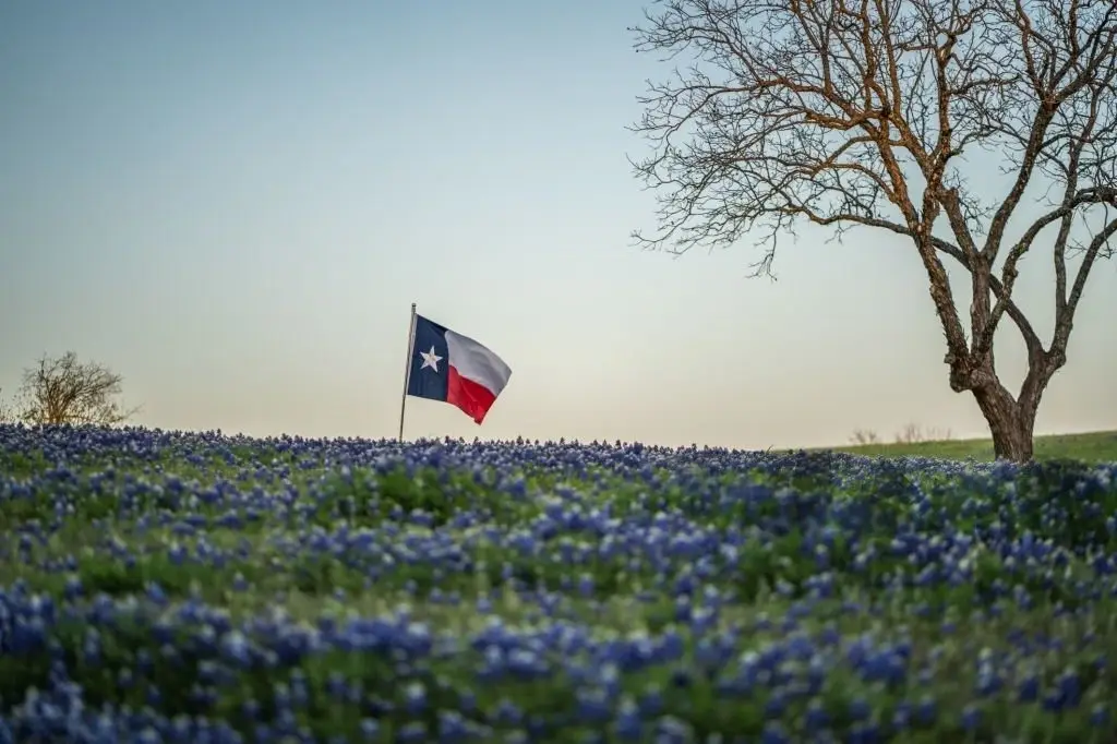 Texas